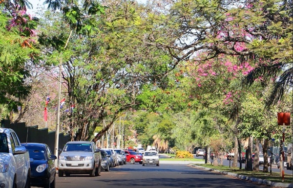 Sábado cálido con vientos del sur en todo el territorio nacional