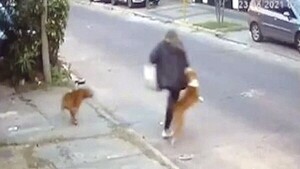 Perros mordieron a una señora y a su hija