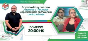 Análisis del proyecto de ley que crea Juzgados Especializados en Violencia contra la Mujer basado en la ley 5777 con perspectiv