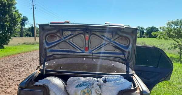 Diario HOY | Marihuana en el auto y la valijera, como una mercancía lícita cualquiera