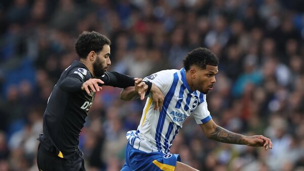 El Wolves amarga al Brighton