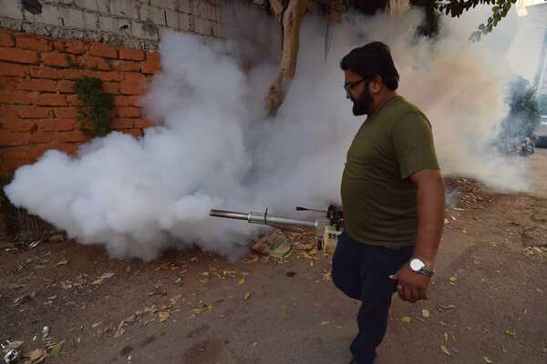 Dengue: control de criaderos es clave para disminuir reproducción del mosquito transmisor - Nacionales - ABC Color