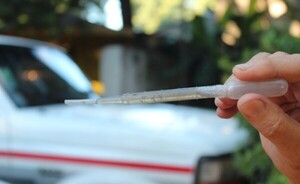Dengue: Salud apela a la conciencia ciudadana para controlar criaderos