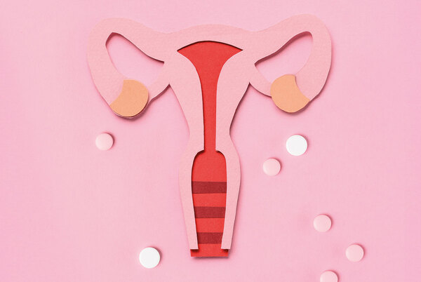 Bienestar femenino - High Class