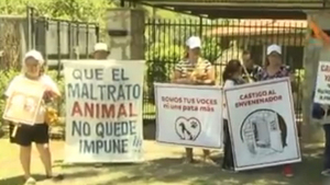 Perros habrían sido envenados por extranjero en San Bernardino - SNT