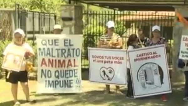 Perros habrían sido envenados por extranjero en San Bernardino - SNT