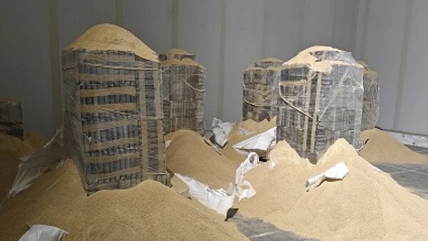 Incautan 3.600 Kilos de cocaína en Portugal que habían salido de Paraguay