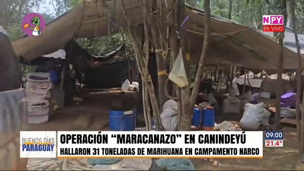 Operativo Maracanazo: Halla 31 toneladas de marihuana en campamento narco
