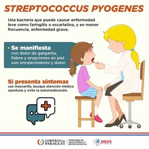 ¿Qué es la bacteria streptococcus pyogenes? - 1000 Noticias