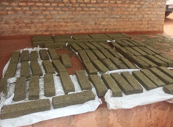 Hallan y confiscan más de 80 kilos de supuesta marihuana en Yby Yaú
