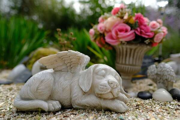 Día de las Mascotas Muertas: un homenaje a nuestros compañeros eternos - Mascotas - ABC Color