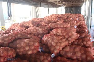 La cebolla se sumó al tomate y la zanahoria como producto de exportación - .::Agencia IP::.