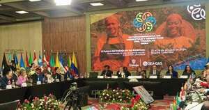 La Nación / Paraguay designado para liderar el grupo de trabajo de la OEA en materia laboral