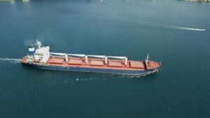 Zarpó de Ucrania el primer barco humanitario con 23.000 toneladas de cereales para África