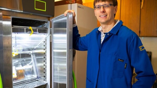La electroagricultura revoluciona la forma de producir alimentos