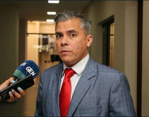 Eduardo Gonzalez: “Mario Abdo Benítez es un cínico que llenó sus bolsillos en pandemia”