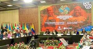 La Nación / Paraguay encabeza grupo de trabajo de la OEA