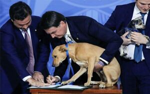 Perro de Bolsonaro firma ley contra el maltrato animal