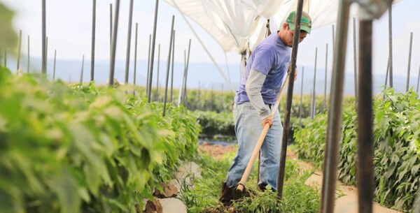 MIC se alía con el sector cooperativo para promover a emprendedores rurales