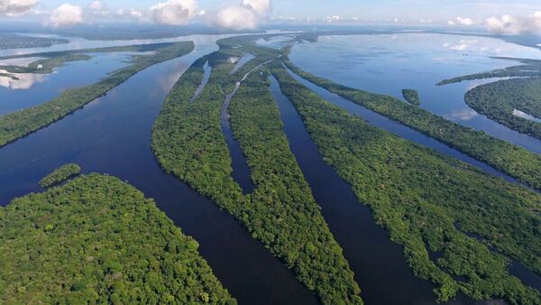 Cambio climático amenaza "procesos planetarios vitales", avisa nuevo informe científico