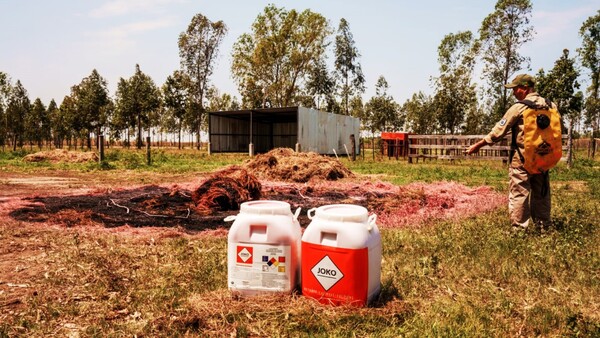 Jóvenes crean innovador producto contra incendio