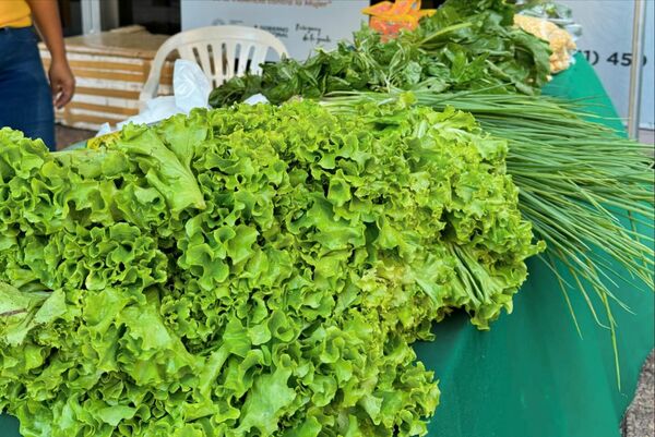 Trabajadoras ofertan productos frutihortícolas y de gastronomía en la explanada del Ministerio de la Mujer - .::Agencia IP::.
