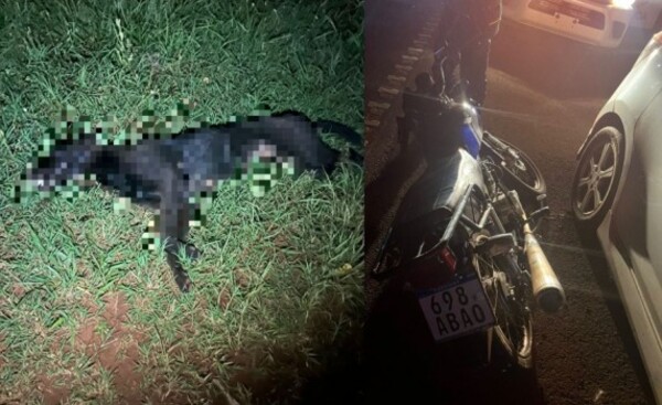 Dos heridos tras choque de motocicleta contra un perro