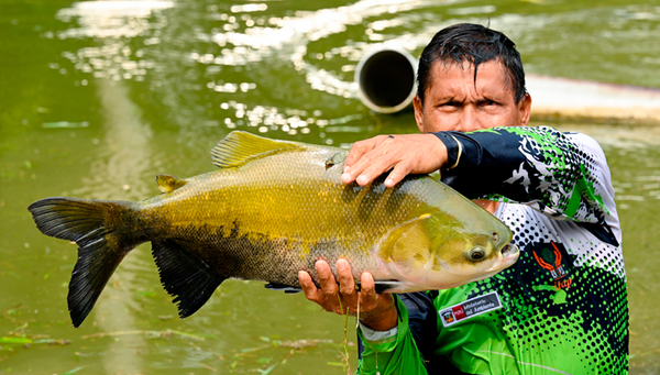 Per煤 entrega millones de cr铆as de peces para fortalecer la pesca sostenible en la Amazon铆a