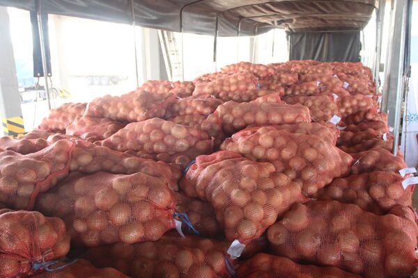 La cebolla se sum贸 al tomate y zanahoria como producto de exportaci贸n