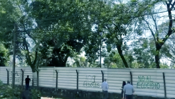 Talan árboles en el bosque San Vicente en Asunción