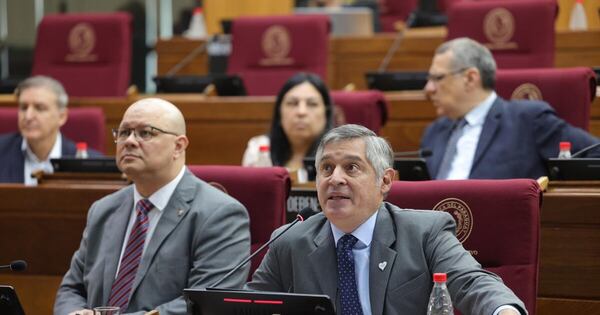 La Nación / MEC pide al Congreso la aprobación de préstamo para edificar 316 escuelas