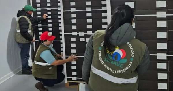 Diario HOY | Imputan por estafa a planillero de SENAVE