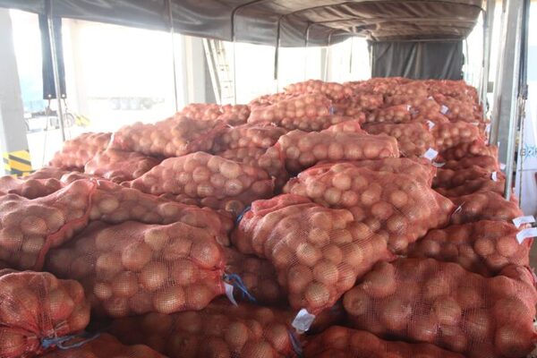 La cebolla se sumó al tomate y la zanahoria como producto de exportación - ADN Digital