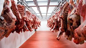 Envíos de carne vacuna al exterior ya generaron US$ 1.217 millones al país | Agronegocios | 5Días