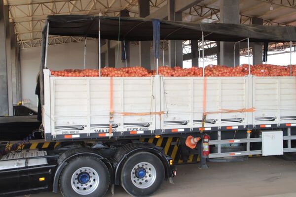 Paraguay logra histórica exportación de cebolla al mercado argentino | Locales | 5Días