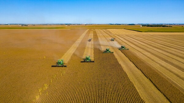 Continúa la caída en el nivel de importación de maquinarias agrícolas | Agronegocios | 5Días