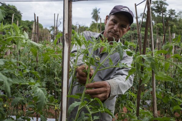 Más de 400 pequeños agricultores mejoran su productividad gracias a proyecto de conservación de agua | Agronegocios | 5Días
