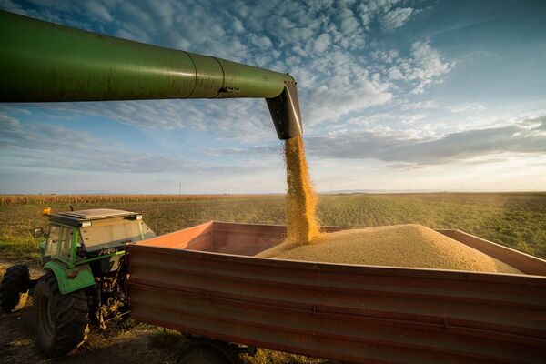 No es solo 4%: Envíos de soja paraguaya a la UE directa o indirectamente equivalen 30% de la producción | Agronegocios | 5Días