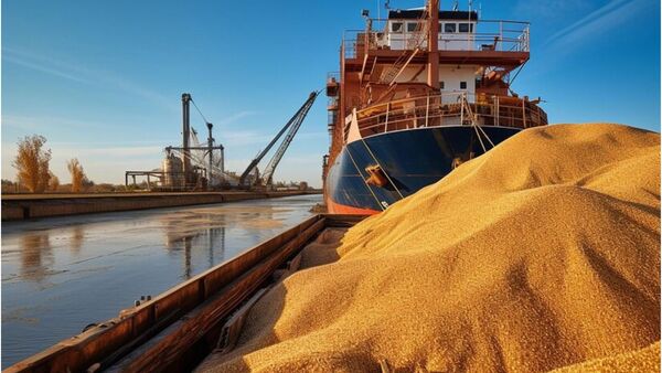 La UE postergaría por 1 año el Reglamento 1115: ¿Paraguay apuntará a nuevos mercados? | Agronegocios | 5Días