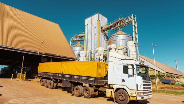 Envíos de soja sin procesar está afectando gravemente las operaciones de fábricas aceiteras | Agronegocios | 5Días