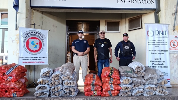 Incautan productos hortícolas ingresados presumiblemente de contrabando