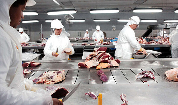 Paraguay avanza con la reglamentación del dressing: “Generará confianza entre productores e industria”