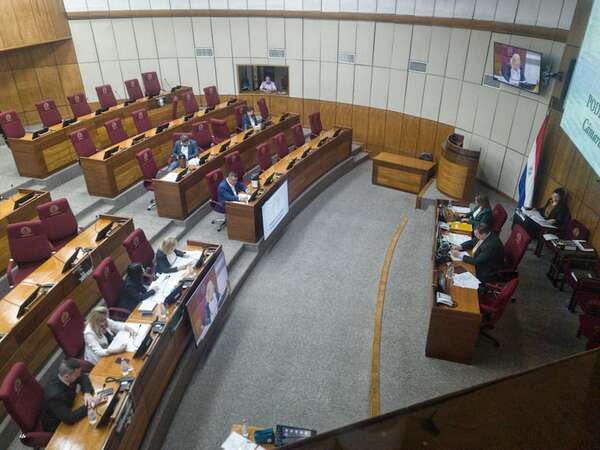 En agenda, pero sin votos para eliminación de comisión “garrote” en Cámara de Diputados - Política - ABC Color