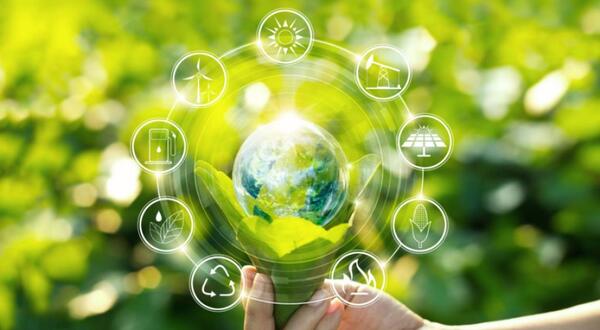 Sigue abierta la Consulta Pública sobre la Taxonomía Verde de Paraguay
