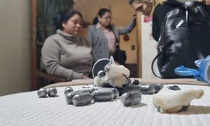Descubren a “mulas” que pretendían viajar a España
