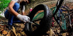 Salud insta a seguir con mingas ambientales contra el dengue