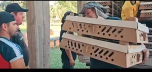 Entregan pollitos a emprendedoras en Yguazú