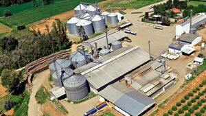 ALIM: La empresa familiar chilena que apuesta por la sostenibilidad hacia el 2030 | Agronegocios | 5Días