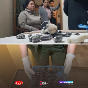 RED DE TRÁFICO DE DROGAS UTILIZABA A MUJERES COMO "MULAS" PARA LLEVAR COCAÍNA EN EL CUERPO - TVS