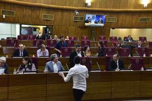 Presupuesto 2025: legisladores buscan restituirse vales de combustible y seguros “vip” - Política - ABC Color